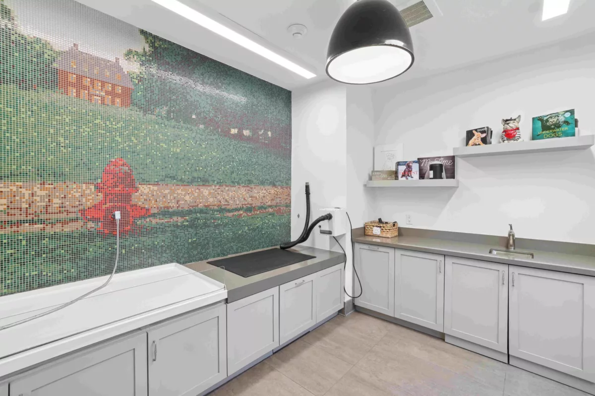 Pet wash station with mosaic mural, wash tubs, and grooming supplies.